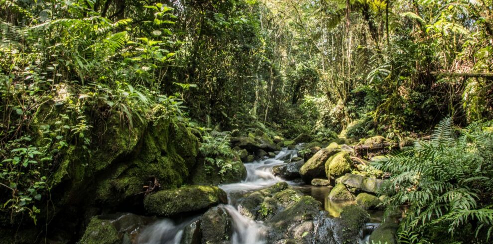In-search-of-Bwindi’s-waterfalls